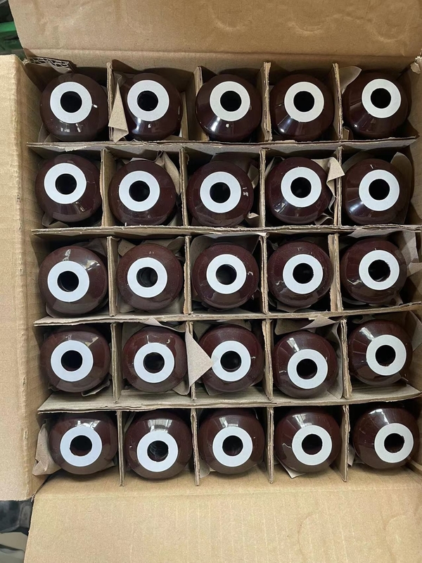 DIN標準的な1kV 250Aの変圧器の磁器のブッシュCD70MM OEM